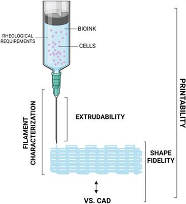 Biomaterials for extrusion-based bioprinting and biomedical applications